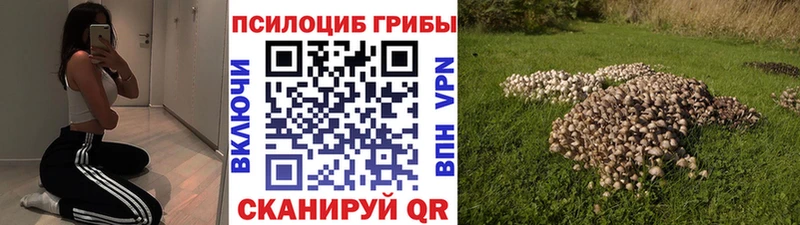 что такое   Нефтекумск  кракен как зайти  Галлюциногенные грибы Magic Shrooms 