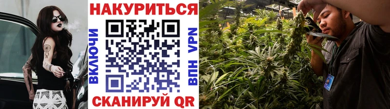 хочу Нефтекумск Канабис ГИДРОПОН